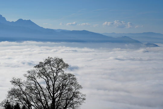 Leafless tree silhouette against a backdrop of rolling clouds and distant mountains under a clear blue sky in a serene landscape setting