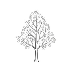 Obraz premium Minimalist Line Art Tree with Leaves - Simple Vector Illustration