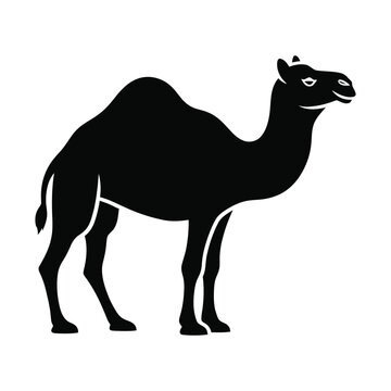 Minimalist camel silhouette vector, black dromedary animal icon, desert wildlife graphic isolated on white background