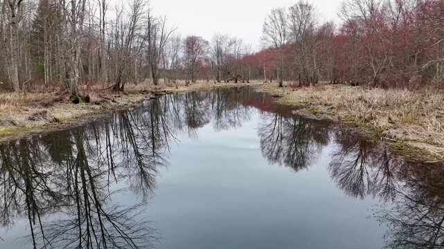 Aerial view of a serene body of water perfectly mirroring the stark, leafless trees and dry grasses along its banks under an overcast sky, Highland, New York, United States.