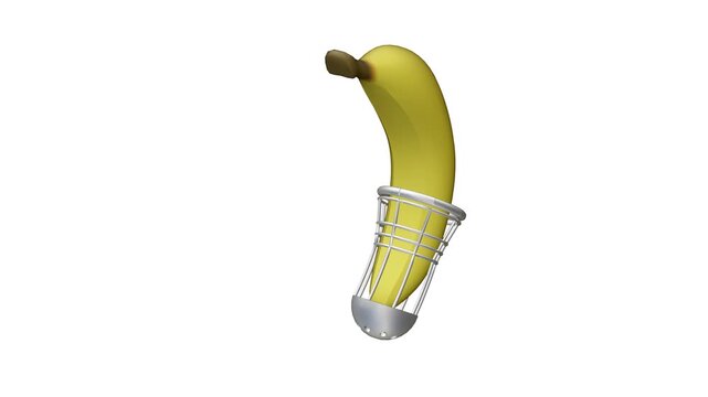 A 3d animation of male chastity device, a yellow banana in a metal-plastic cage, rotates smoothly around its Z-axis against a white void, revealing all angles.