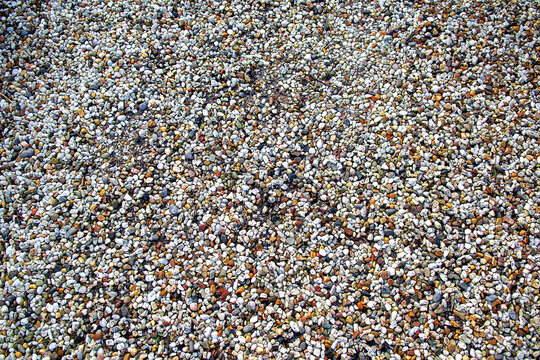 Multicolored Small Pebbles and Gravel Texture