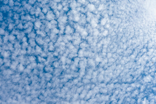 Landscape of altocumulus clouds and blue sky.