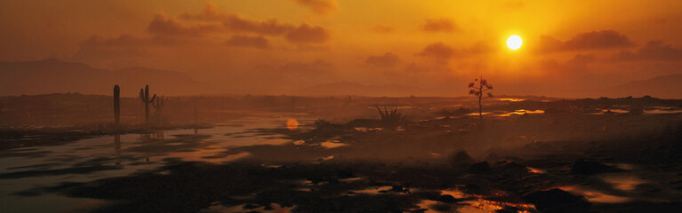 Foggy arid landscape with succulent vegetation after rain during sunset. 3D render. © ysbrandcosijn