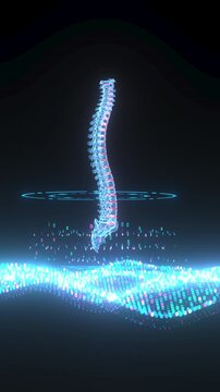 4k Video Intervertebral Discs in Digital Spine Visualization &ndash; Concept of Disc Degeneration and Back Disorders. ProRes 4444.