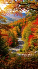 Obraz premium Winding Mountain Road Through Vibrant Autumn Foliage
