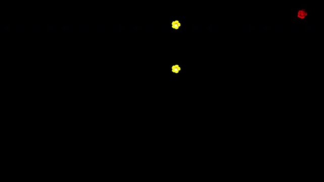 Flower floating animation 4K