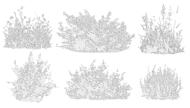 Set of shrubs, bushes and flowers in elevation view for use in architectural drawings - isolated on transparent background