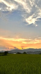 Fototapeta premium Golden Sunset Over Green Field and Mountains, Peaceful Countryside Landscape
