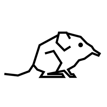 Elephant shrew