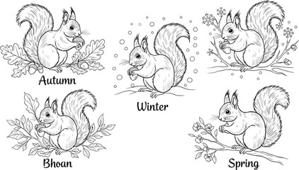 Cute squirrel seasonal vector set featuring autumn winter spring and monsoon themes in hand drawn black and white engraved sketch style for nature education and calendar design. © Lipi