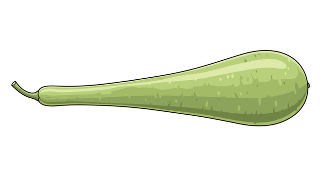 A long, slender bottle gourd, also known as calabash, with its light green skin, a popular and healthy vegetable in Asian cuisine.