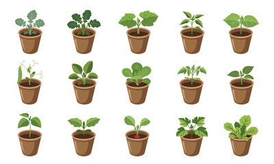 Fototapeta premium Set of vegetable seedlings in pots collection isolated on white