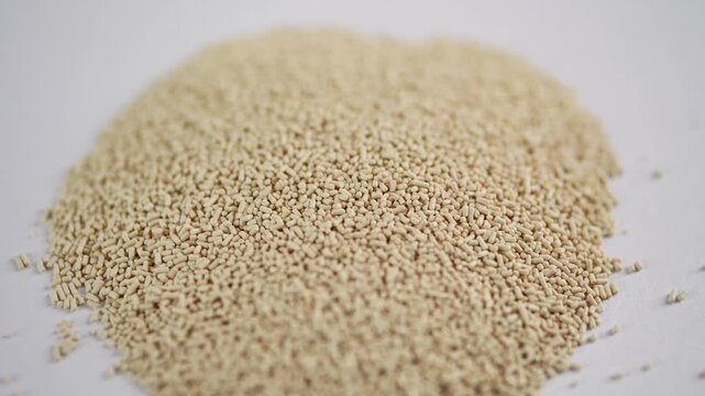 A small heap of dry active yeast granules centered on a clean white surface.