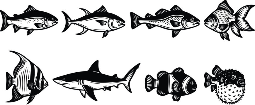 Set of cs, vector illustration. Black fish silhouettes on white background. Vector Illustration. EPS 10.eps