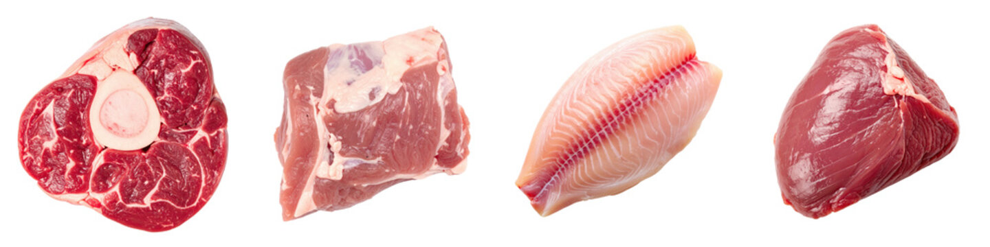 Assortment of raw meat cuts including beef shank pork shoulder fish fillet and raw venison muscle piece