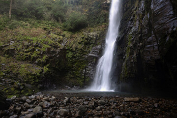 Fototapeta premium Waterfall cascading into a rocky pool within a dense forest