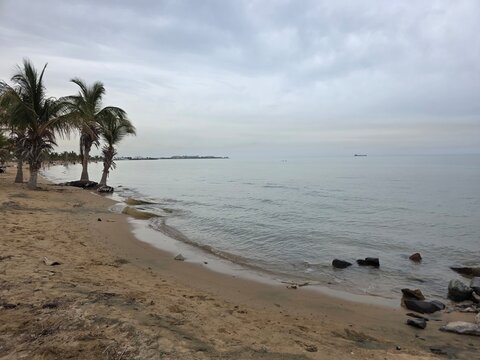 Scenic Royal Commission Beach Yanbu Saudi Arabia Coastal Landscape.  In the evening, the sea and trees create a lovely view.