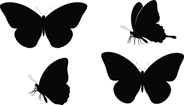 Set of butterflies silhouettes on white background, vector, eps 10.eps