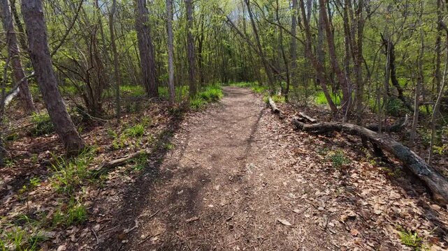 Walking forward on a dirt path through a green spring forest, POV shot