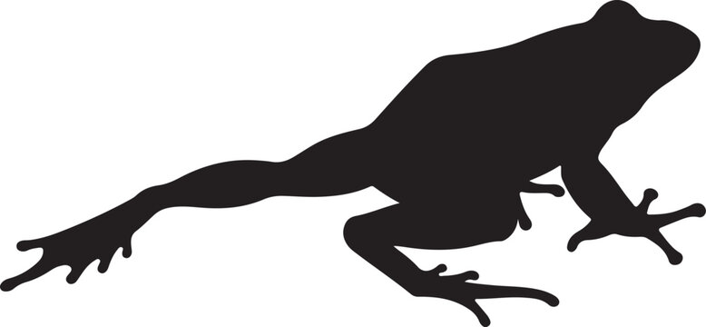 frog silhouettes