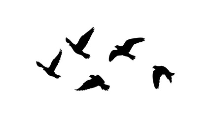 Obraz premium Flying birds silhouettes pattern on PNG transparent. bird flying isolated. tattoo design.
