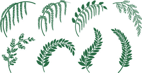 Fototapeta premium Various green wheat and grain stalks on white background for agriculture and harvest concepts
