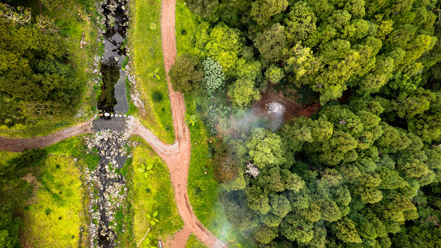 Aerial view of a dark river meanders through bright green foliage, crisscrossed by earthy paths leading into a dense forest, Ponta Delgada, Azores, Portugal.