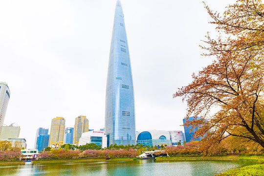 Lotte World Tower with Seokchon Lake and cherry blossoms in spring Seoul South Korea