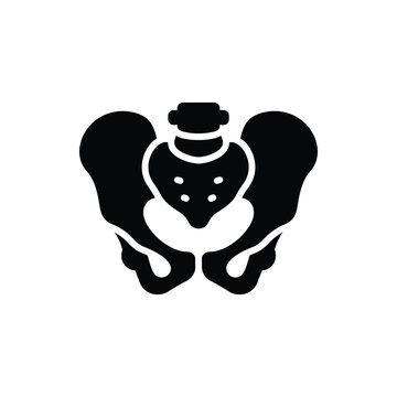 Pelvis bone icon silhouette vector illustration showing human pelvic skeletal structure with sacrum and hip bones for medical anatomy education orthopedic health and healthcare graphics design