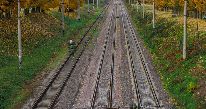 Multiple railway tracks stretch into the distance lined with autumn trees and fallen leaves