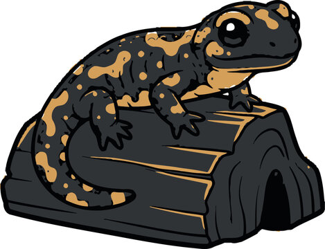 Salamander vector illustration featuring a cute fire salamander sitting on a dark wooden log isolated on a white background for educational children books or wildlife nature designs and mascot logos r