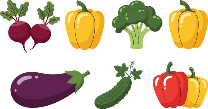 Fresh vegetables vector illustration set with beetroot bell peppers broccoli cucumber and eggplant isolated on white background in colorful flat design style