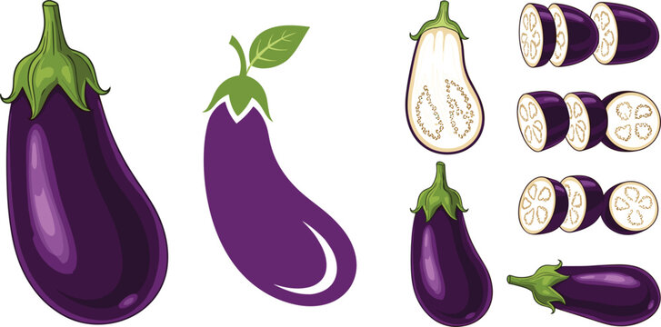 Eggplant vegetable vector illustration set featuring whole sliced and stylized aubergine icons isolated on white background in modern flat design style