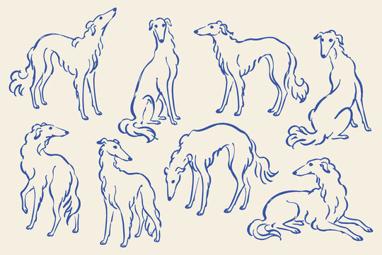 Borzoi dog poses set naive sketch vector illustration