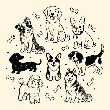 Set of cute handdrawn dog breeds with bones, vector illustration