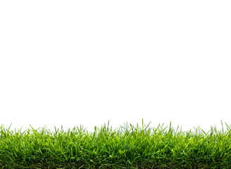 Fototapeta premium Grass, green lawn, Abstract natural beautiful background for showcasing products, goods, text. Nature, flora, eco-friendliness.