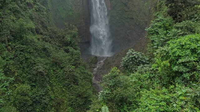 Kabut pelangi waterfall flowing in green rainforest