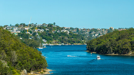 Fototapeta premium Scenic View of Peach Tree Bay and Waterfront Homes in Sydney
