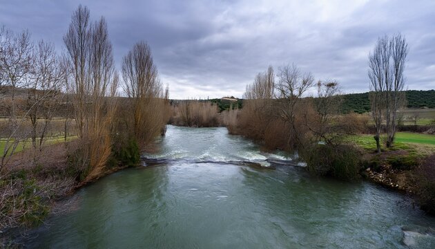 Paisaje Fluvial De Un Rio Caudaloso Bordeado Por Arboles Frondosos Sin Hojas En Un Dia Nublado En Burgos Espana