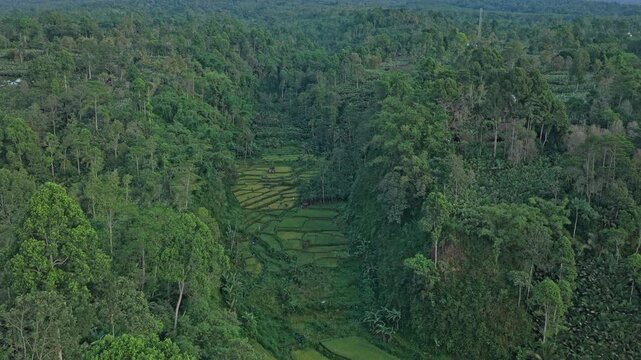 Aerial view revealing semeru volcano over indonesian rice paddies