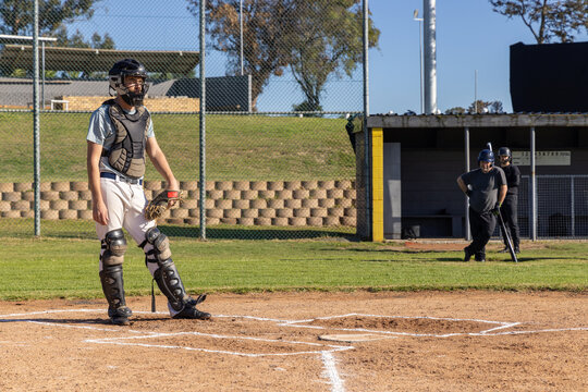 Male baseball players standing at home plate infield, catcher wearing gear holding mitt, copy space
