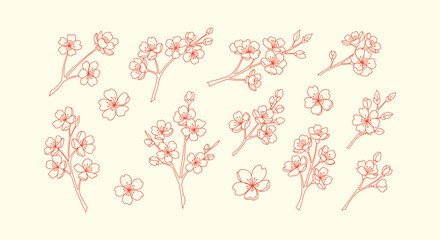 Red Sakura Cherry Blossom Branch and Individual Flower Line Art Illustration Set for Spring Designs © RUMA