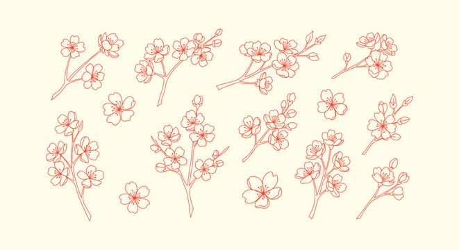 Red Sakura Cherry Blossom Branch and Individual Flower Line Art Illustration Set for Spring Designs