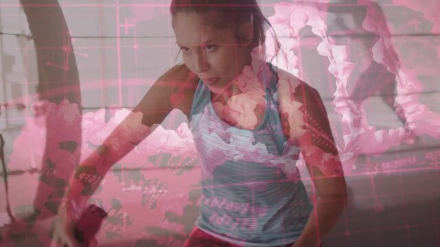Woman grabbing battle ropes and making alternating waves in gym, pink overlaying frames for fitness