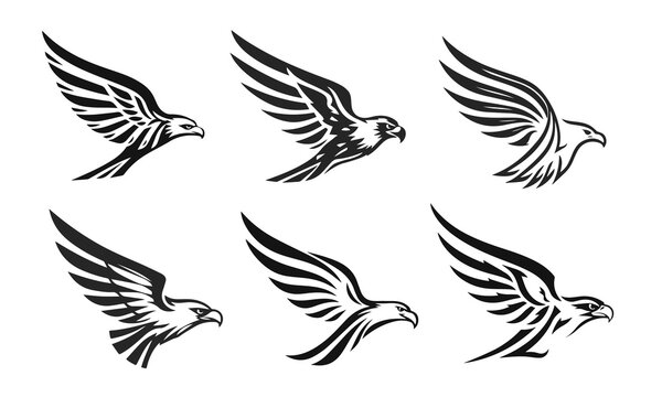 Collection of eagle logos with spread wings. Hawk silhouettes, falcon symbols designs. Power and freedom vector illustration icons