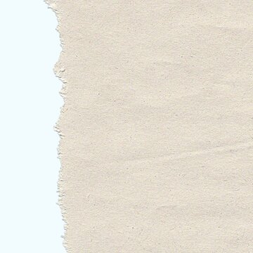 Realistic vertical torn paper edge on white background with copy space.