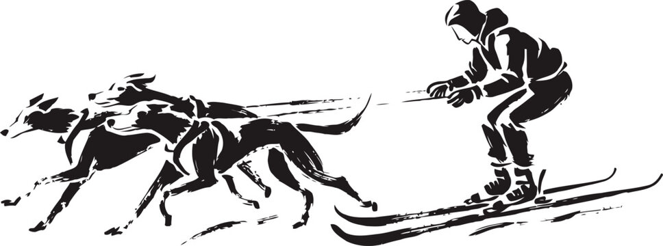 Skier being pulled by sled dogs in dynamic winter sport activity silhouette