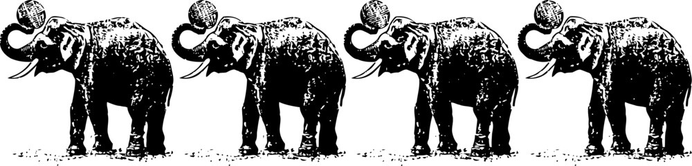 Obraz premium four black and white elephants with raised trunks standing in a row, artistic vintage
