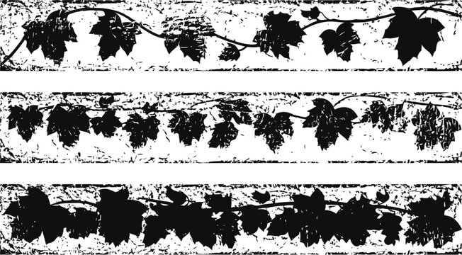 Vintage grapevine borders with distressed textures decorative nature themed horizontal dividers, rustic plant silhouettes on grunge background